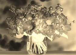 Sepia + Negatyw