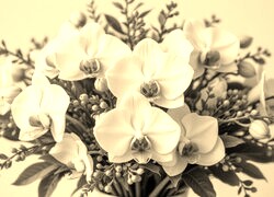 Szary + Sepia