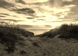 Sepia