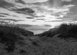 Szary