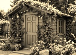 Sepia