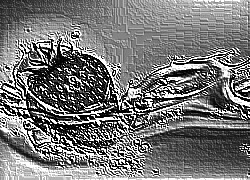 Skamielina