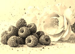 Szary + Sepia