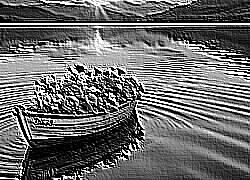 Skamielina