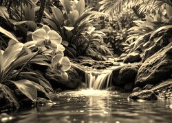 Sepia