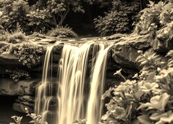 Sepia