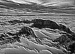 Skamielina