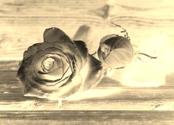 Sepia + Negatyw