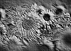 Skamielina