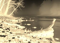 Sepia + Negatyw