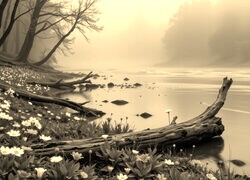 Szary + Sepia