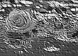 Skamielina