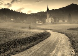 Szary + Sepia
