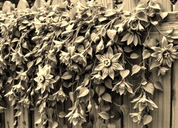 Szary + Sepia
