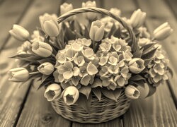 Szary + Sepia