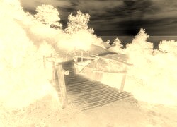 Sepia + Negatyw