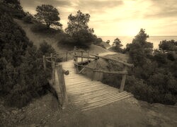 Szary + Sepia
