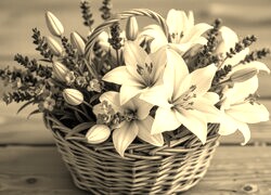 Sepia