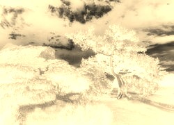 Sepia + Negatyw