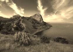 Szary + Sepia