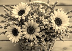 Sepia