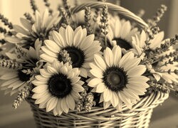 Szary + Sepia