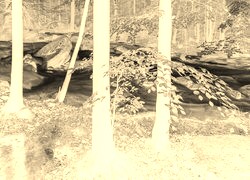 Sepia + Negatyw