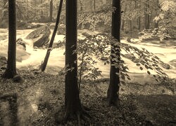 Sepia