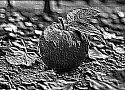 Skamielina