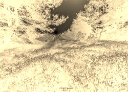 Sepia + Negatyw