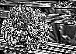 Skamielina