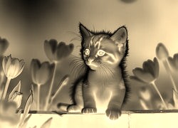 Sepia + Negatyw