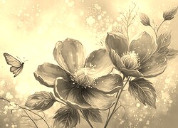 Szary + Sepia