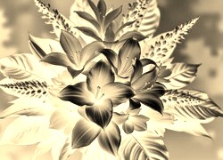 Sepia + Negatyw
