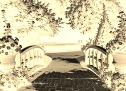 Sepia + Negatyw