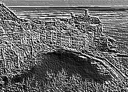 Skamielina