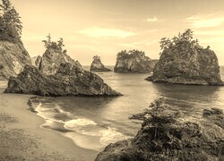 Szary + Sepia