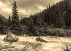 Sepia