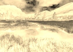 Sepia + Negatyw