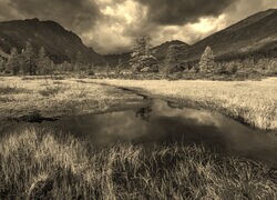 Sepia