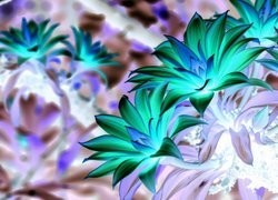 Negatyw