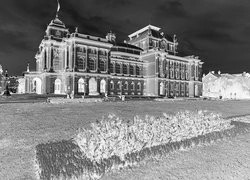 Szary + Negatyw