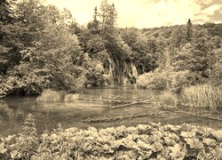 Sepia