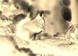 Sepia + Negatyw