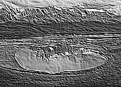 Skamielina