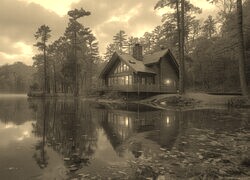 Szary + Sepia