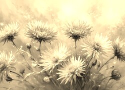 Szary + Sepia