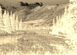 Sepia + Negatyw