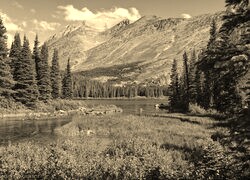 Sepia