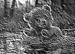 Skamielina